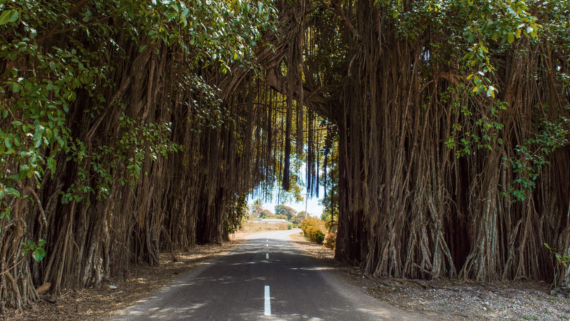 Unterwegs auf Aitutaki