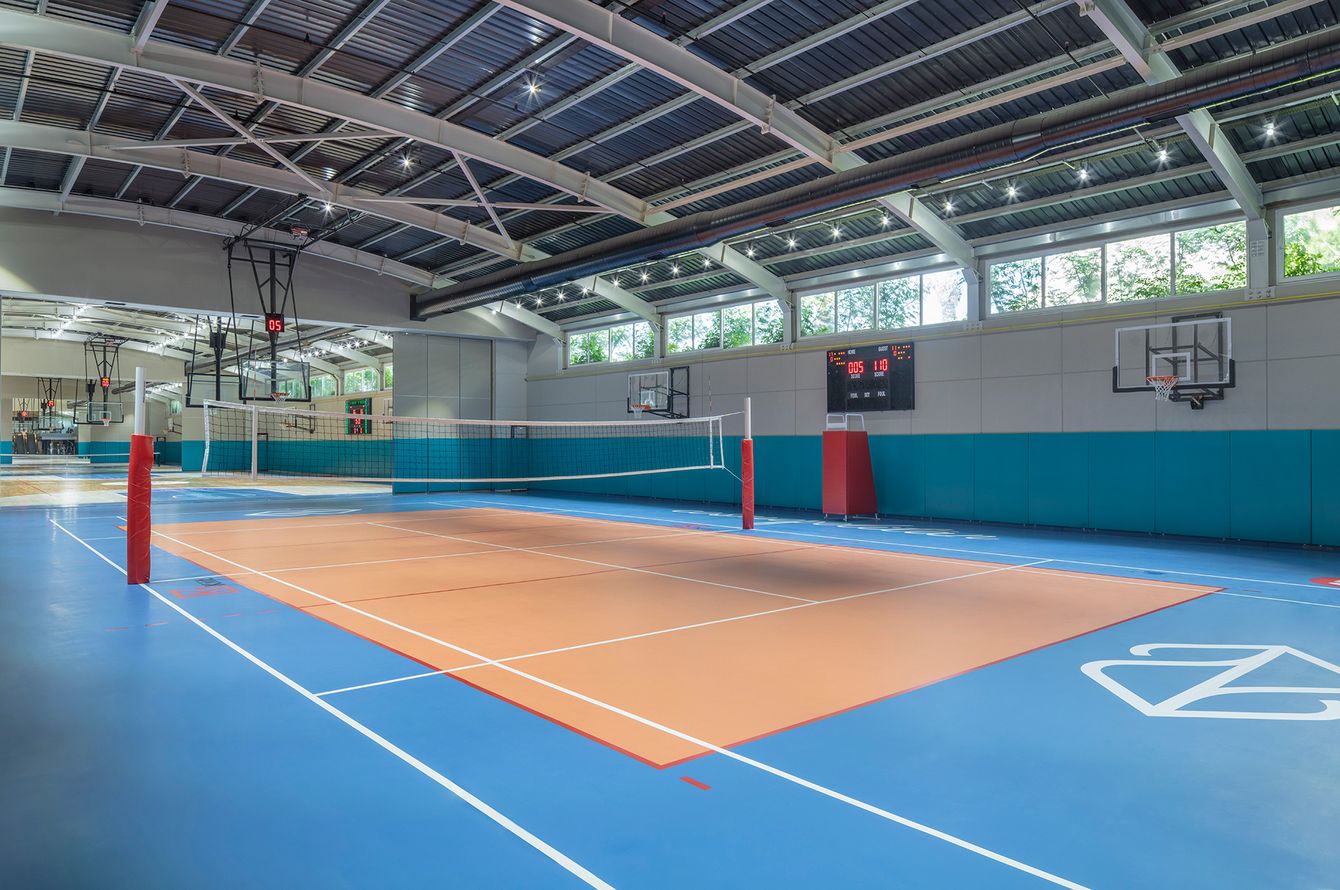 Basketball