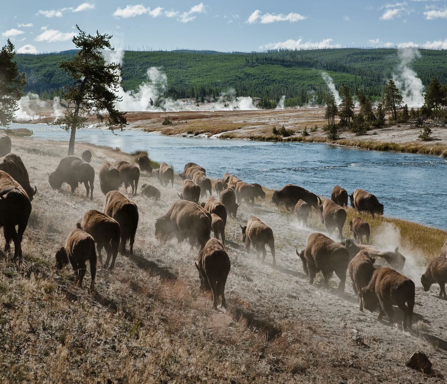 Heisse Quellen und Geysire im Yellowstone-Nationalpark