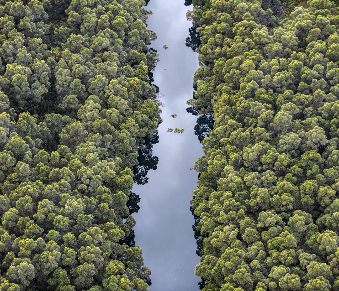 Se perdre dans le labyrinthe fluvial du delta des Amériques...
