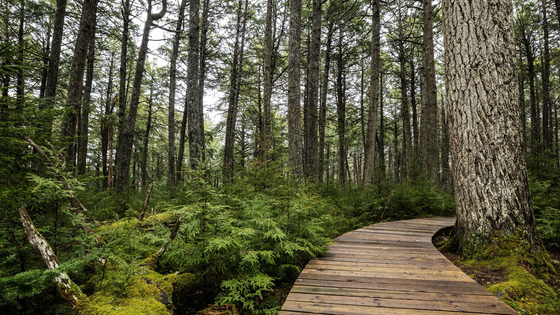 Wandern im Kejimkujik National Park