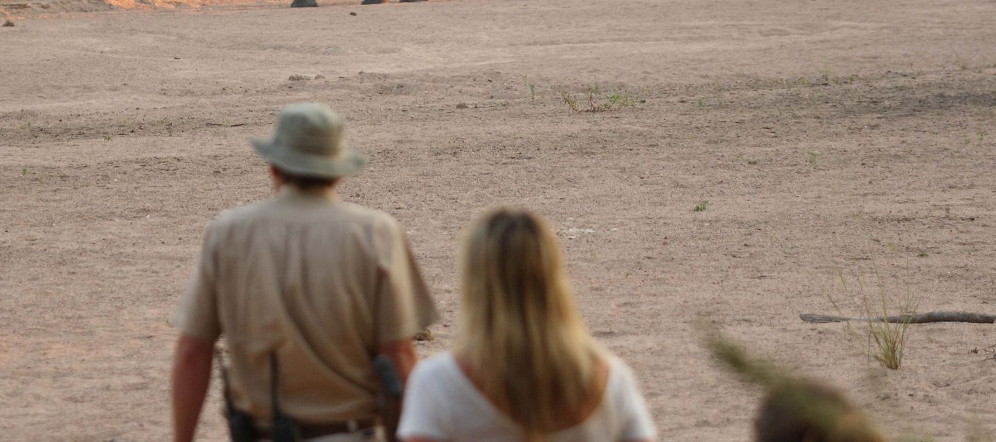 Fusspirsch im Ruaha-Nationalpark mit Elefanten im Hintergrund