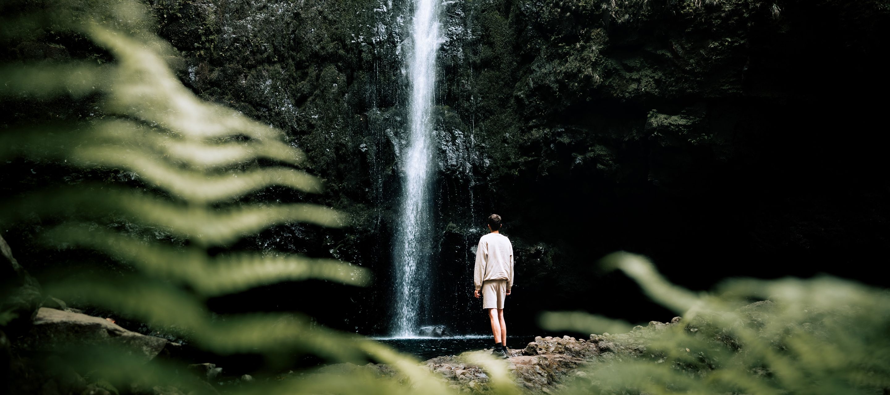 Die Levada do Caldeirão Verde
