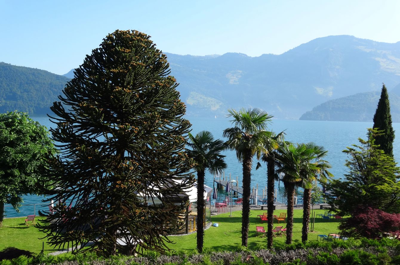 Jardin