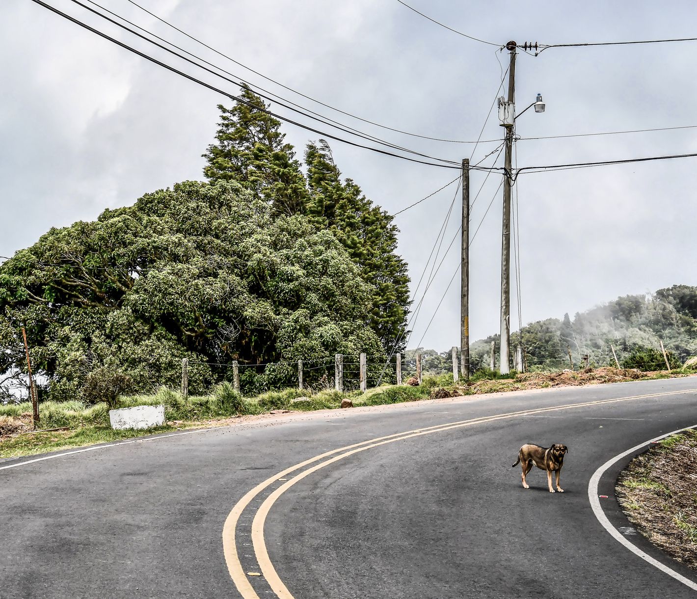 Der Weg ist das Ziel.