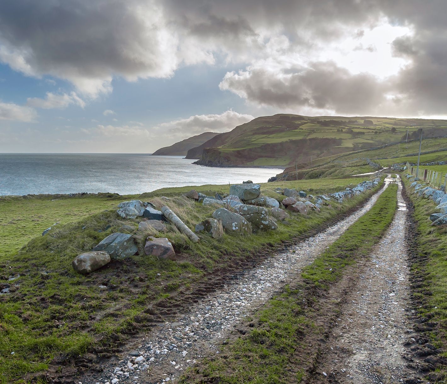 Torr Head Drive
