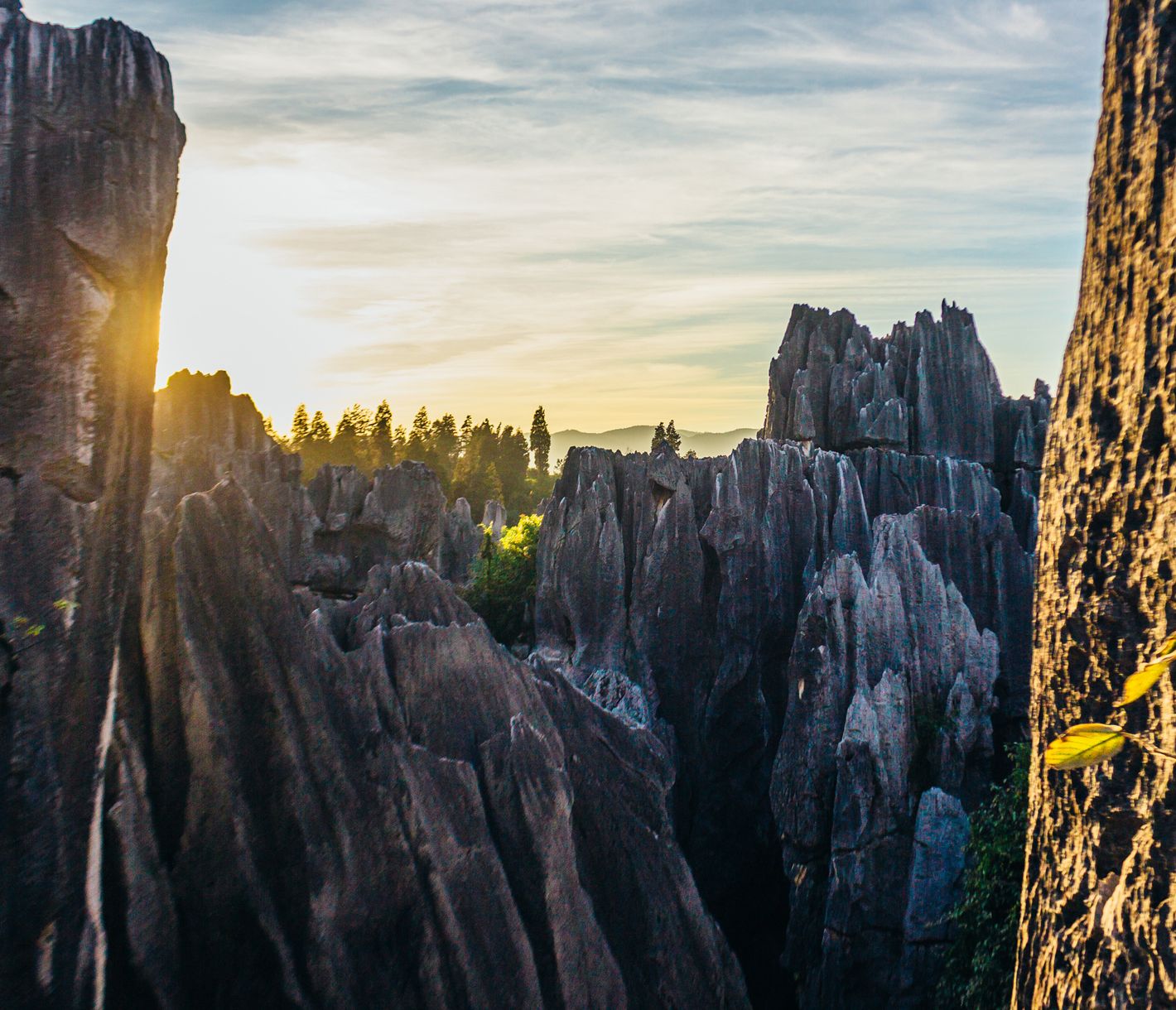 Das letzte Sonnenlicht des Tages scheint die spitzen Felsen des Steinwaldes von Shilin an.