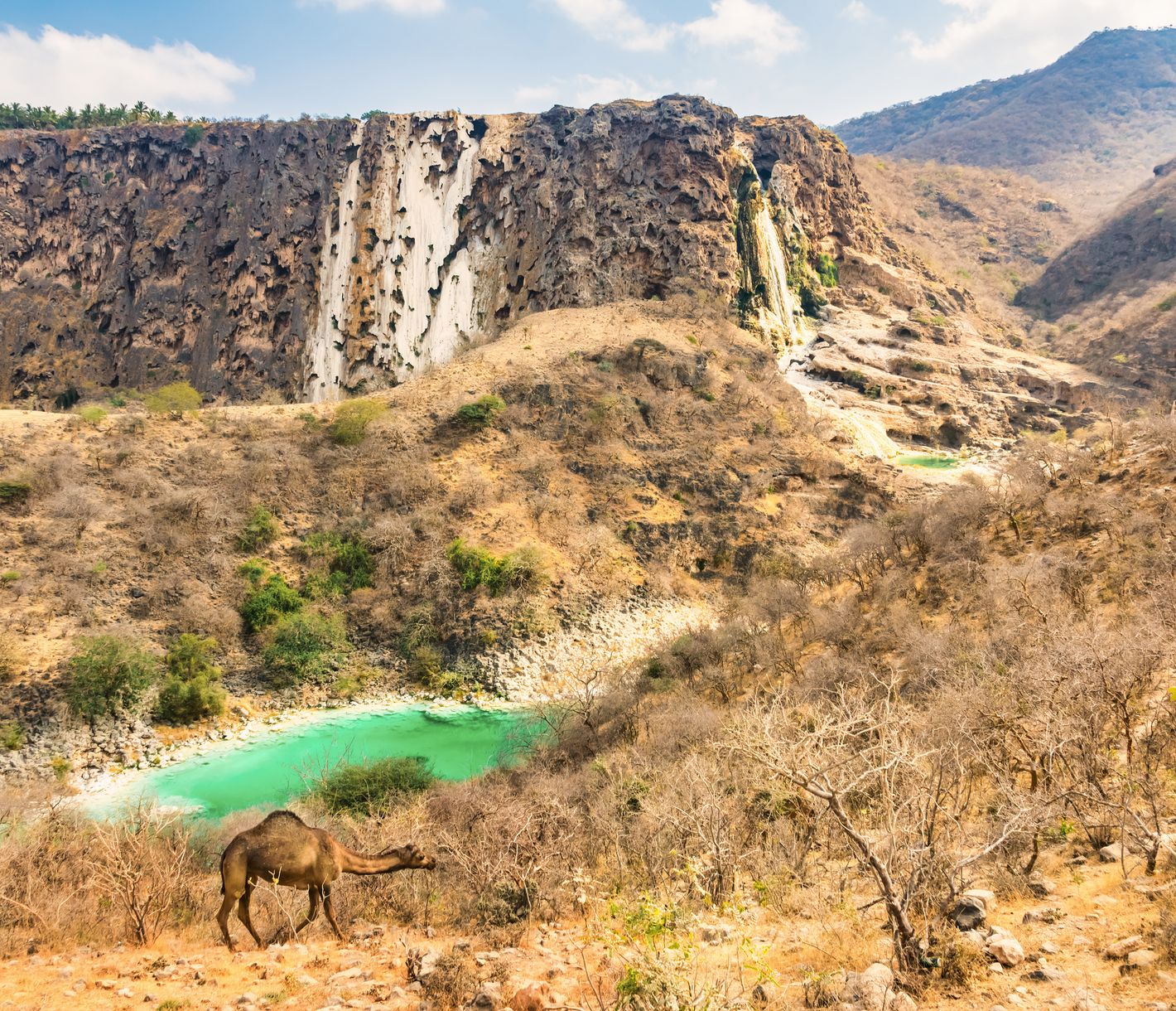 Stille Schönheit im Wadi Darbat