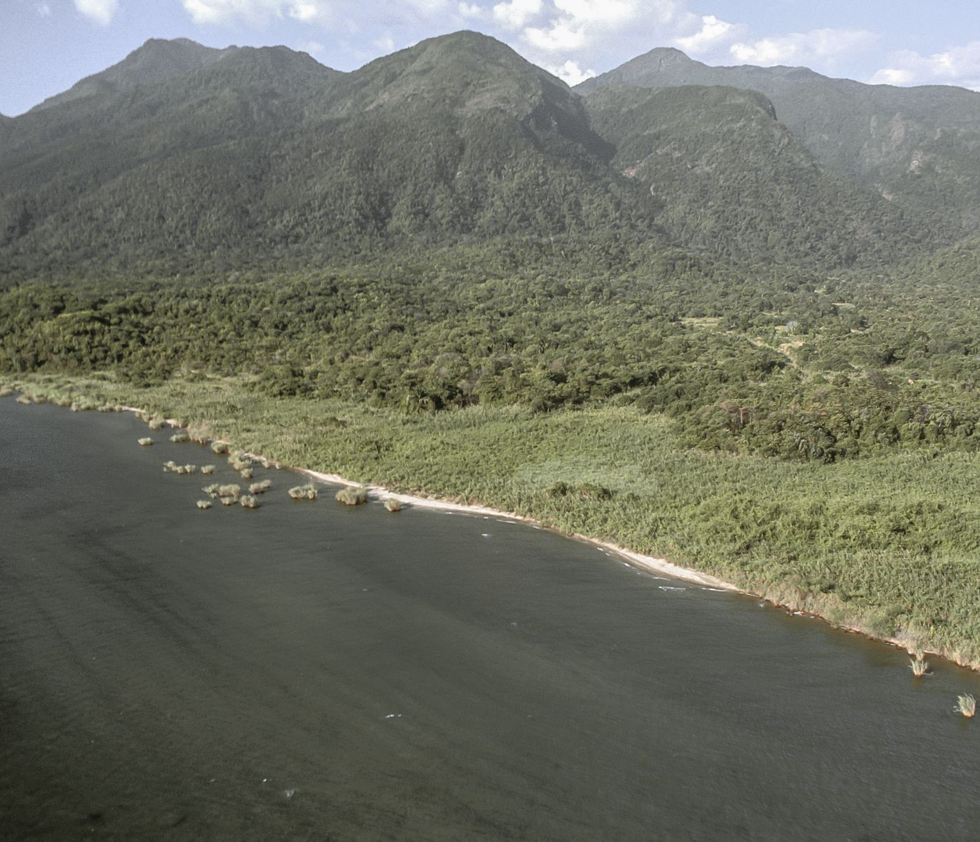 Der bergige Regenwald reicht direkt bis zum Lake Tanganyika.