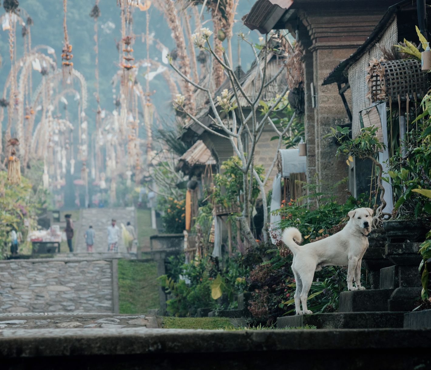 Besuch bei Balis Ureinwohnern