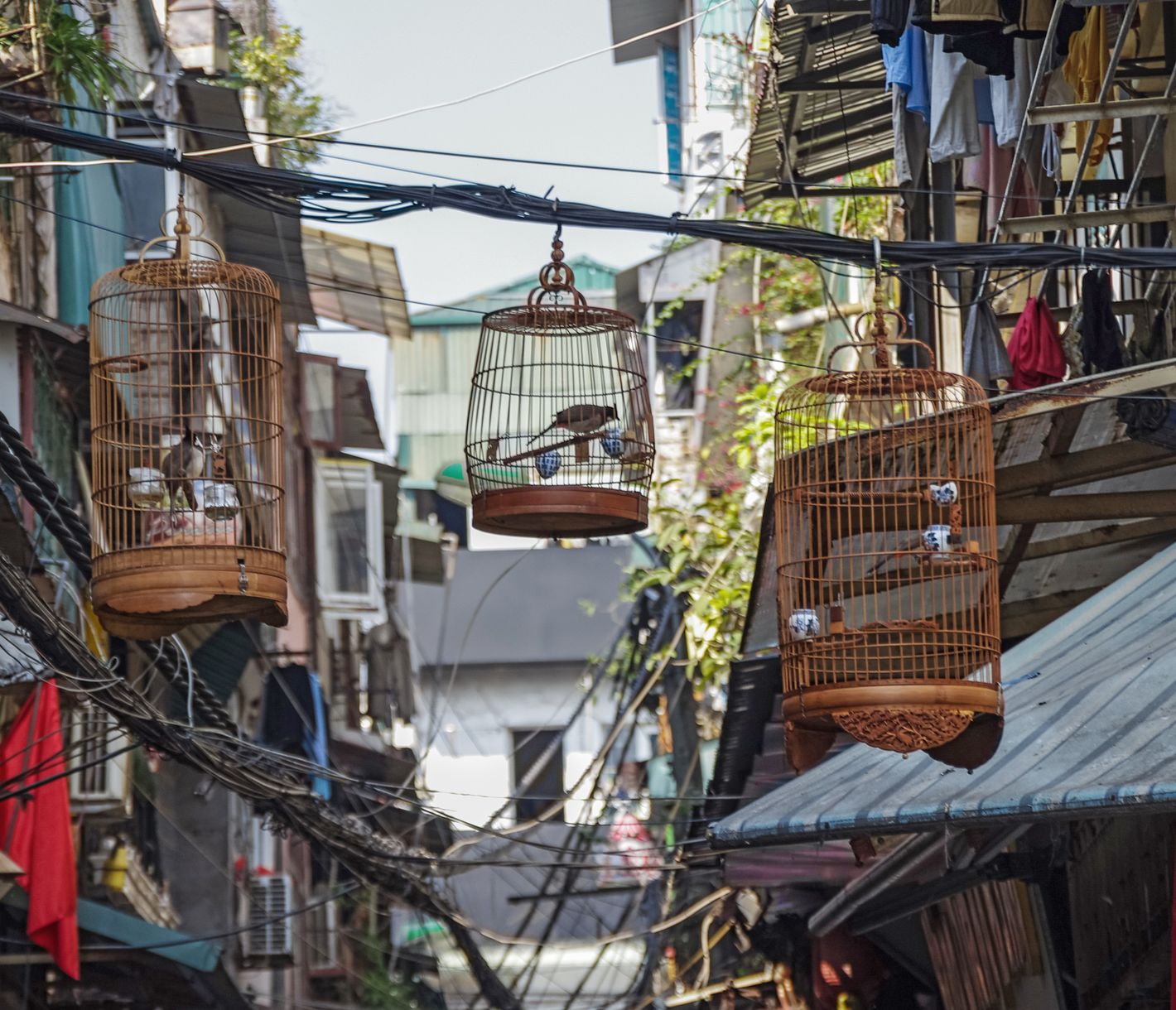 Der Name Hanoi bedeutet "die Stadt jenseits des Flusses"