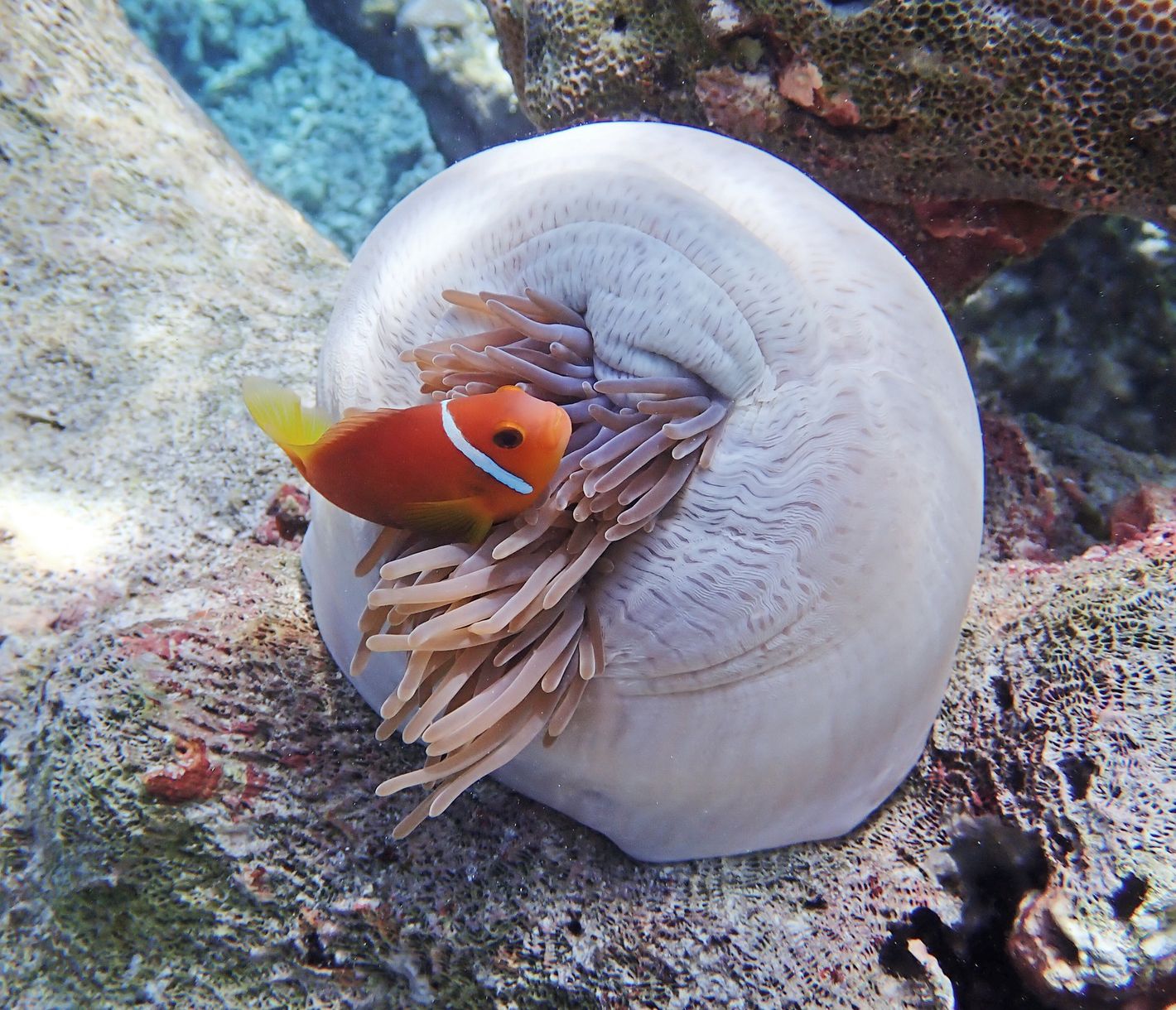 Jeder Art sein eigenes Zuhause