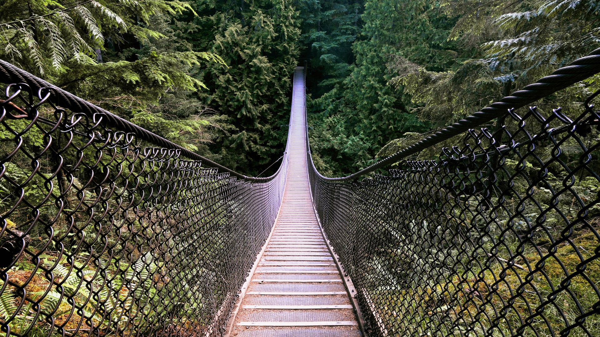 Lynn Canyon Suspension Bridge