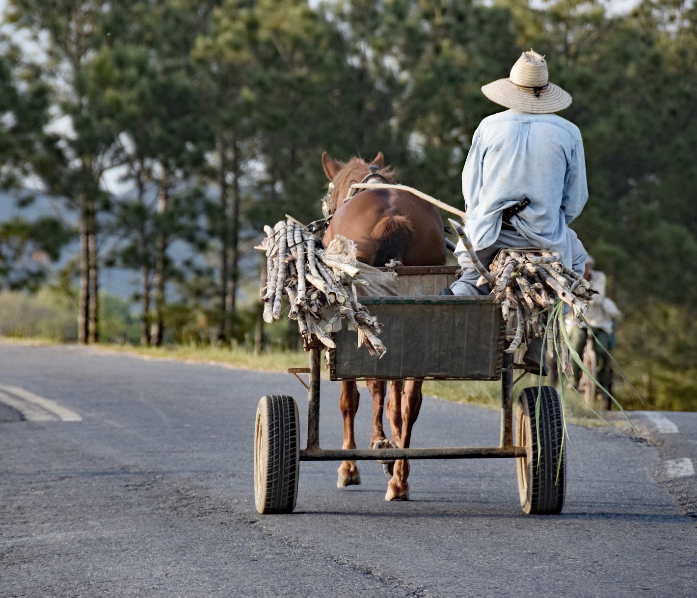Mit der Kutsche über die Strassen ratternd