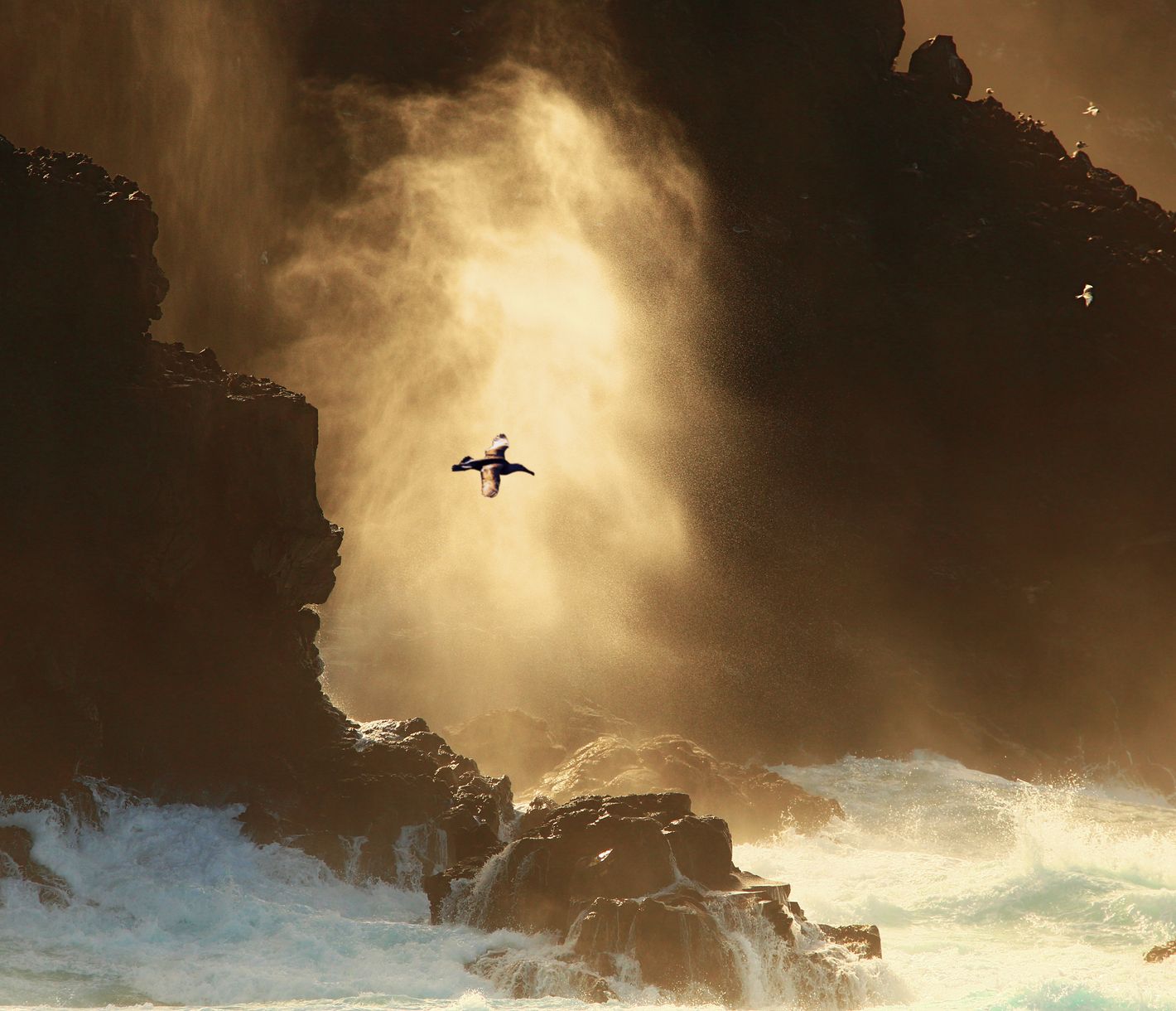 Galapagos – Inseln des Feuers