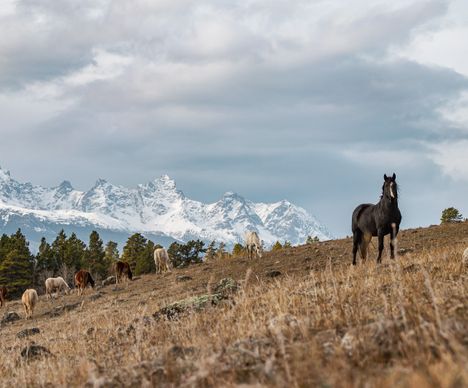 Oh wer steht denn da?