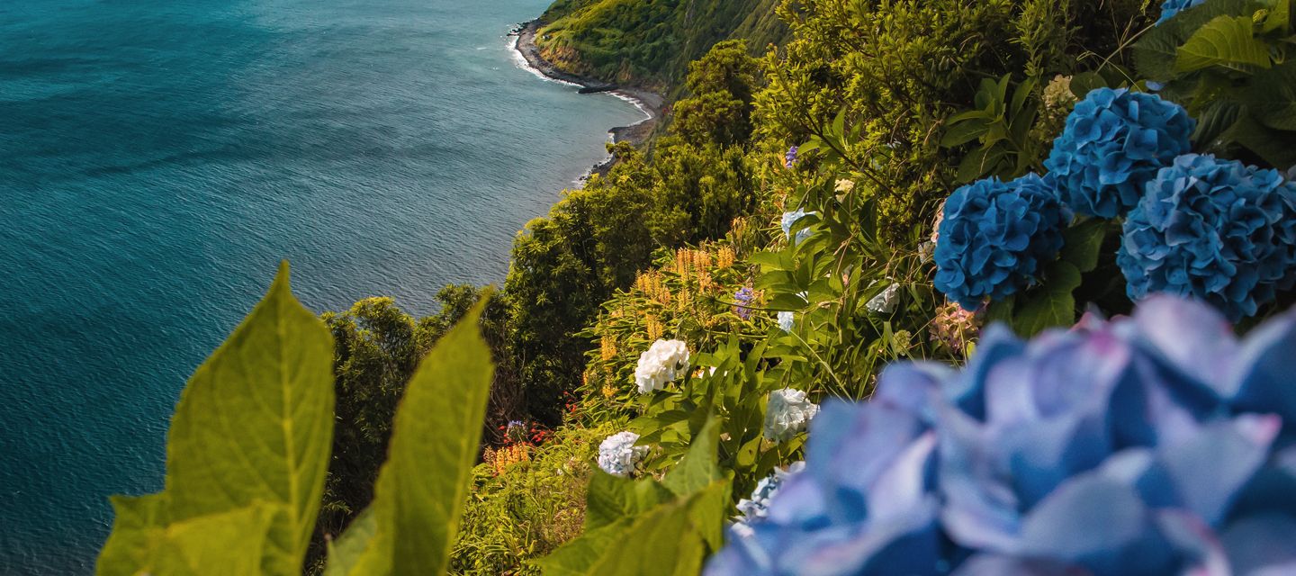 Blumenpracht auf den Inseln