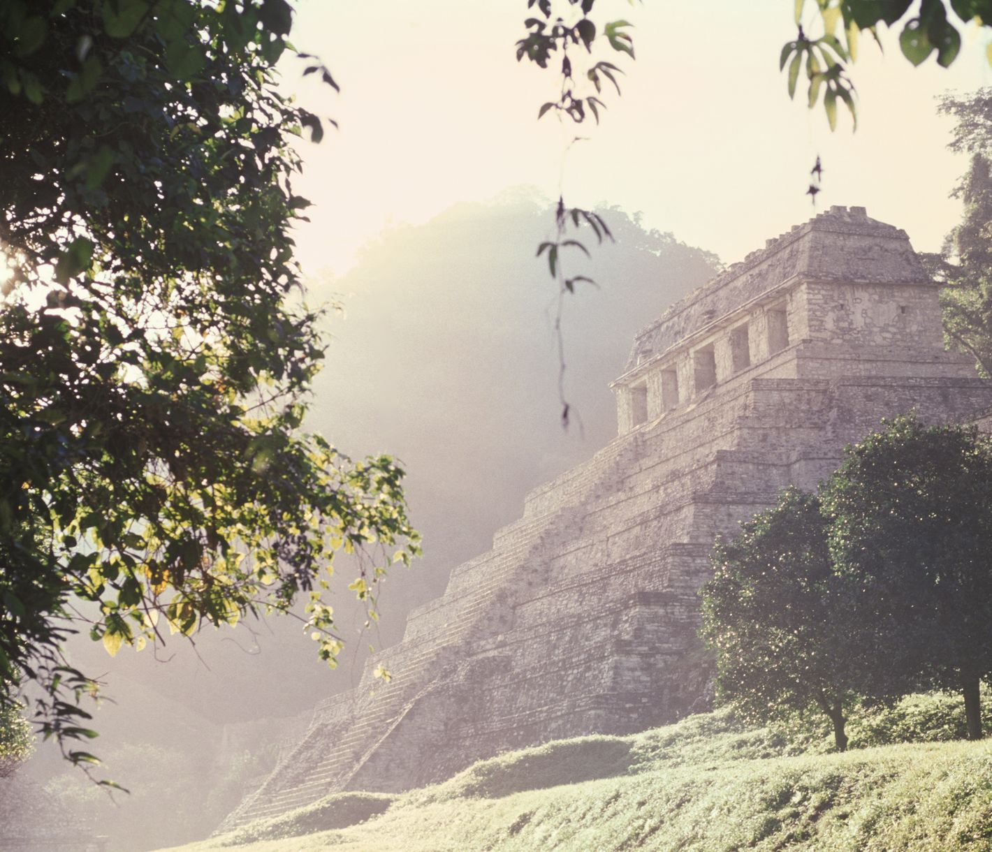 Das Sonnenlicht taucht Palenque in eine mystische Atmosphäre.
