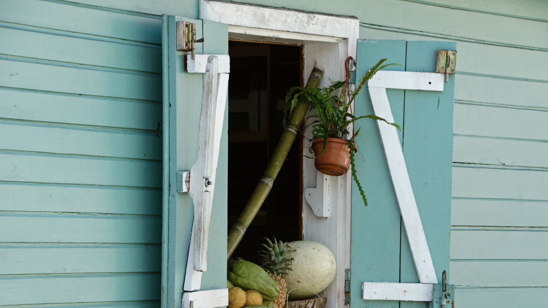 Früchte und Pflanzen am Fenster eines farbenfrohen kreolischen Hauses in Hellbourg