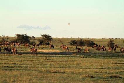 11. Bild der Rundreise