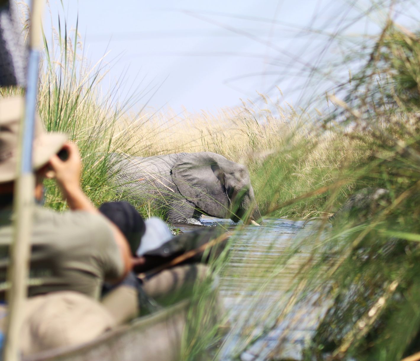 Verkehr im Okavango-Delta