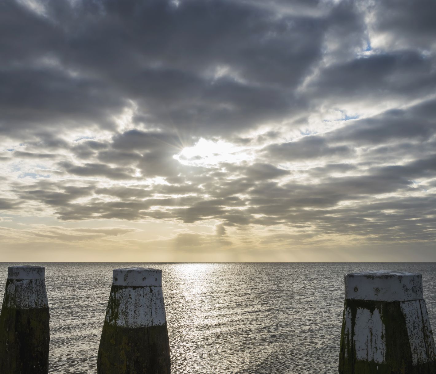 Schiffspoller eines Anlegestegs auf dem Abschlussdeich zwischen Noord-Holland und Friesland