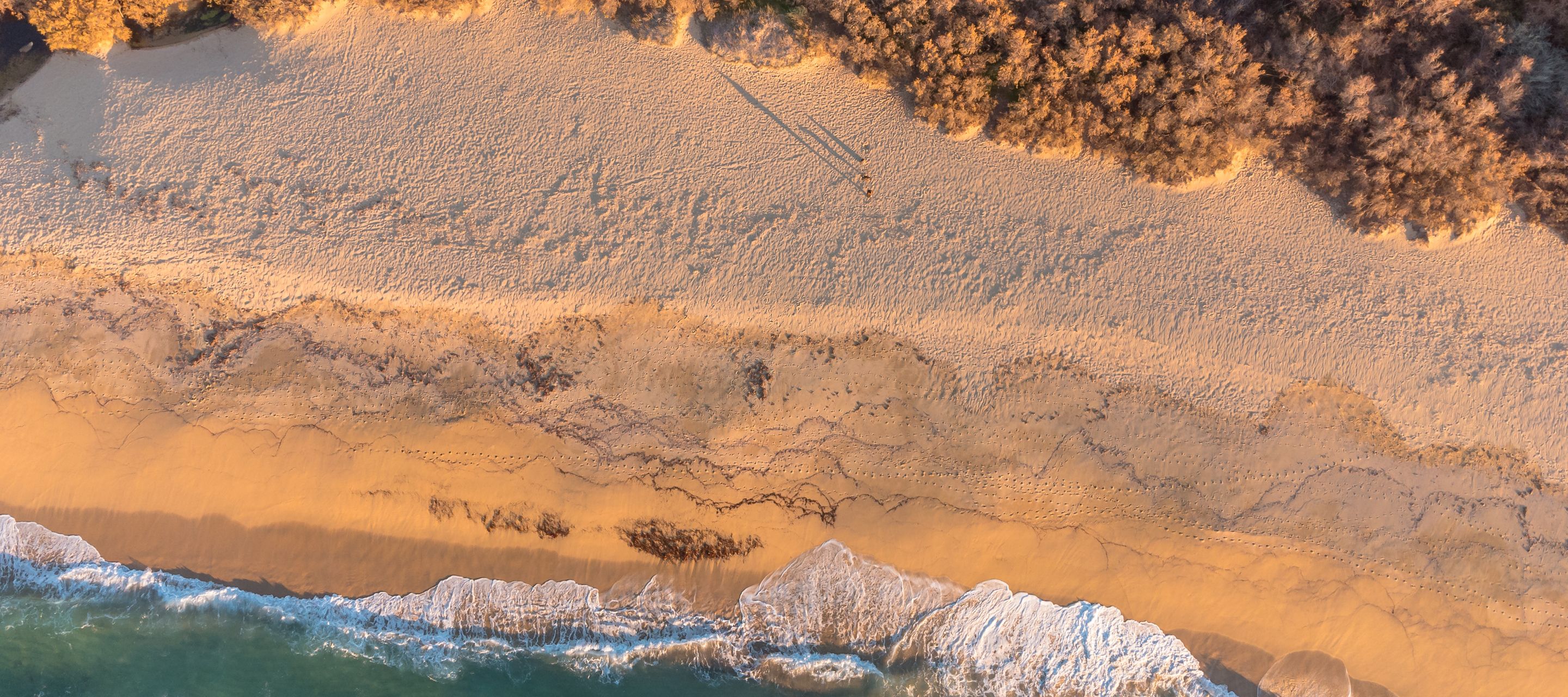 Les belles plages de la côte ouest entre mer cristalline et maquis sauvage et odorant.