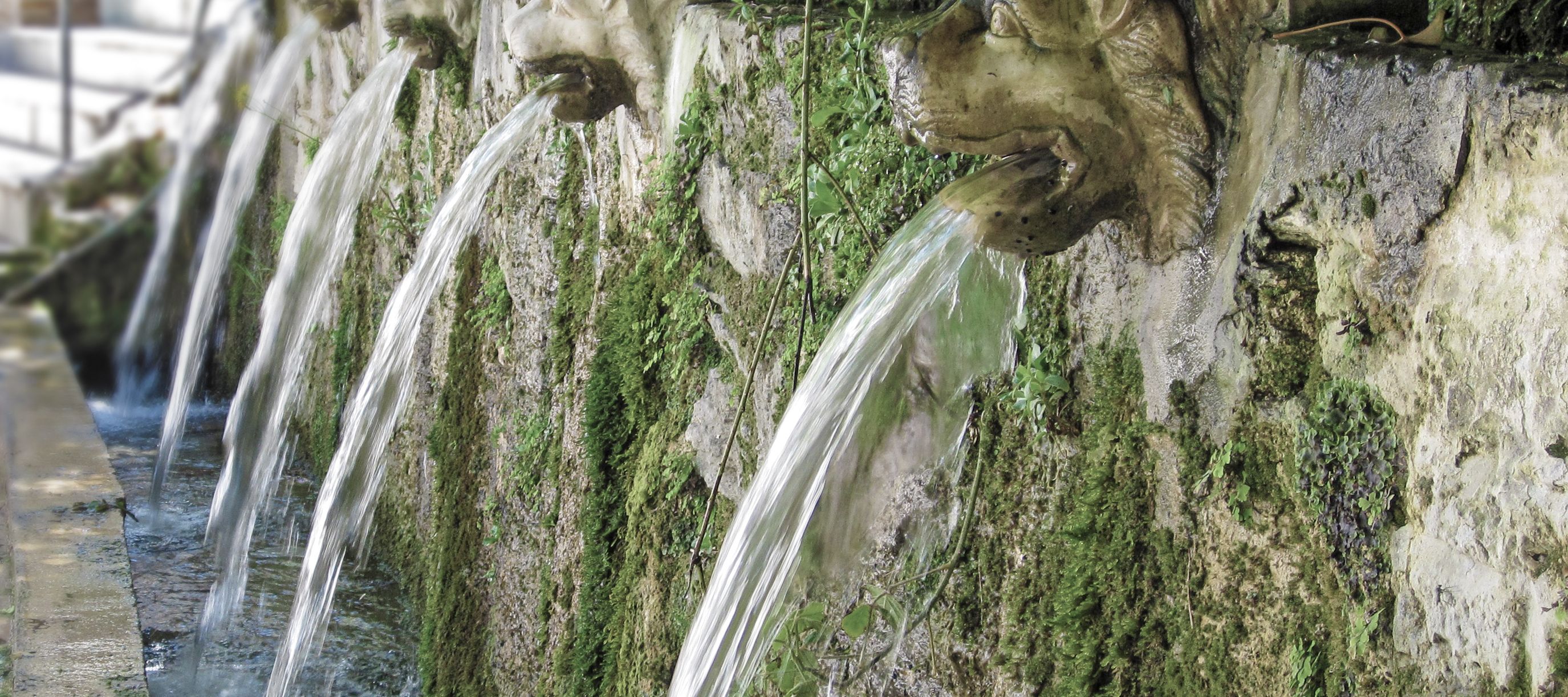 Die Löwenquellen von Menites