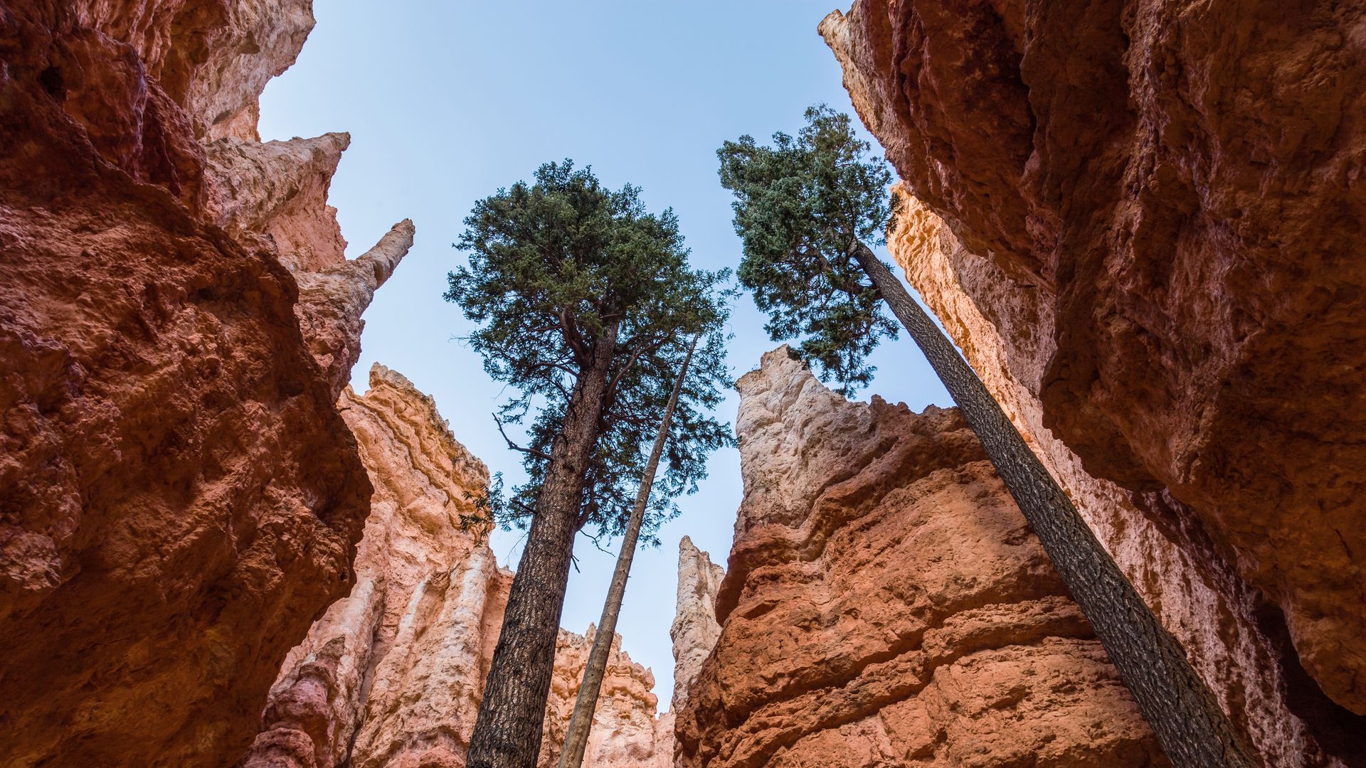 Bryce Canyon, un labyrinthe de hoodoos lumineux