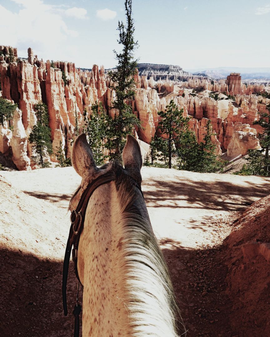 Reitausflug im Bryce Canyon National Park