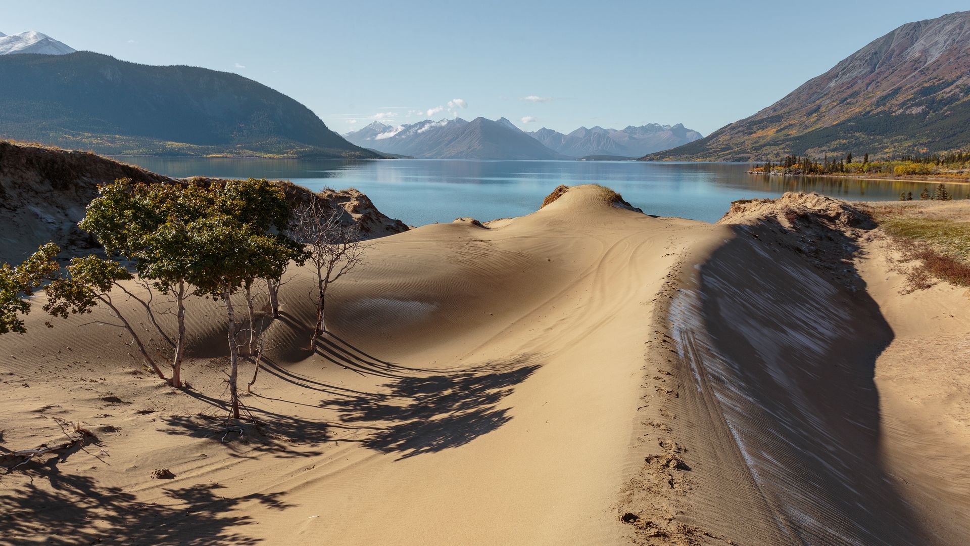 Le plus petit désert au monde!