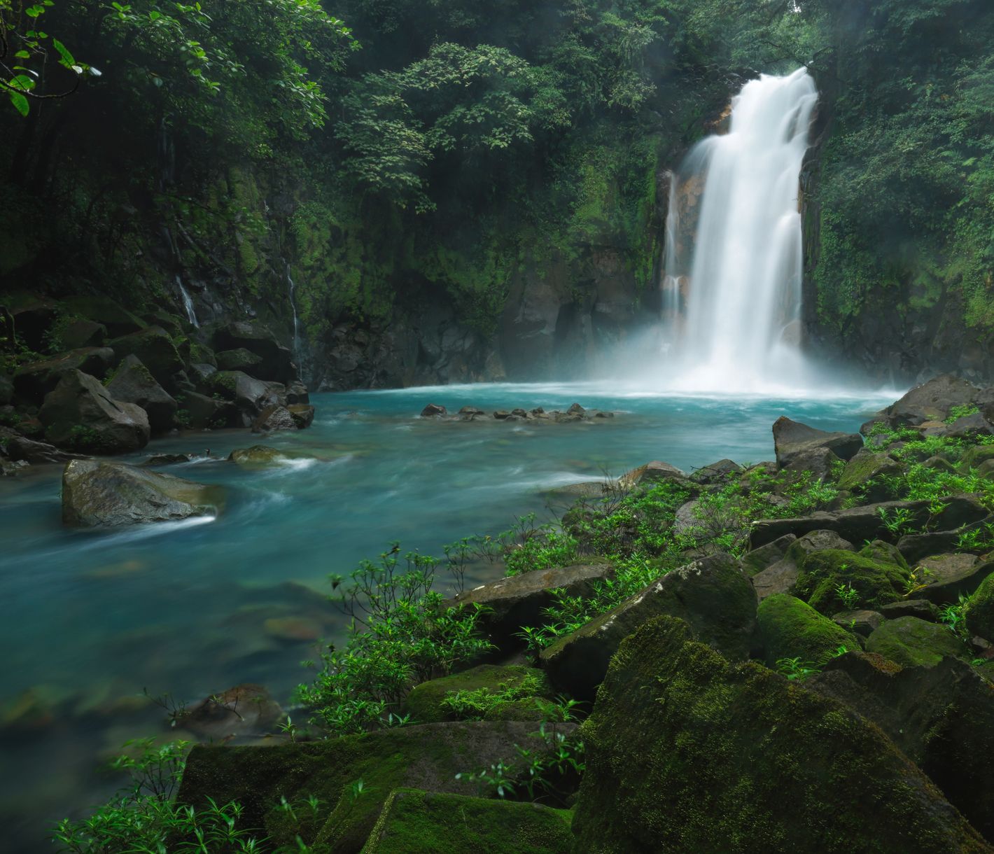 Einfach magisch – der türkisblaue Fluss Rio Celeste, der sich durch den Regenwald schlängelt.