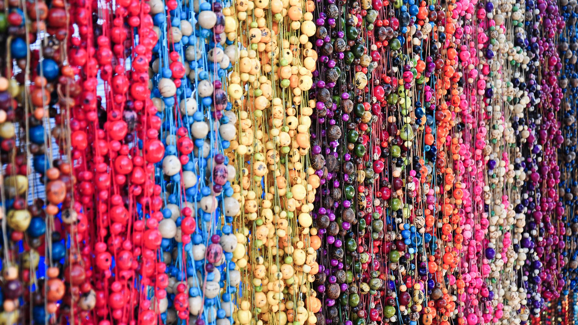 Eine wahre Farbenpracht