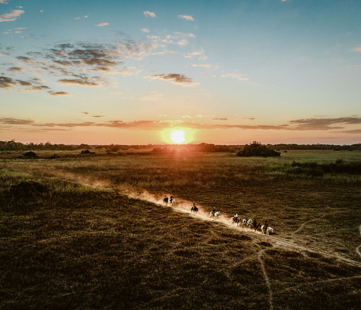 Pferderitt auf der Savanne