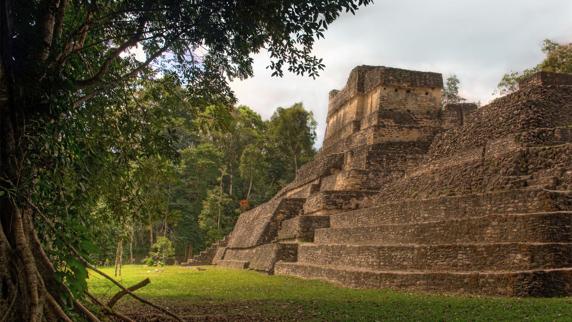 Un séjour au Belize ne saurait être complet sans une expédition en pleine jungle à la découverte d’un mystérieux site maya