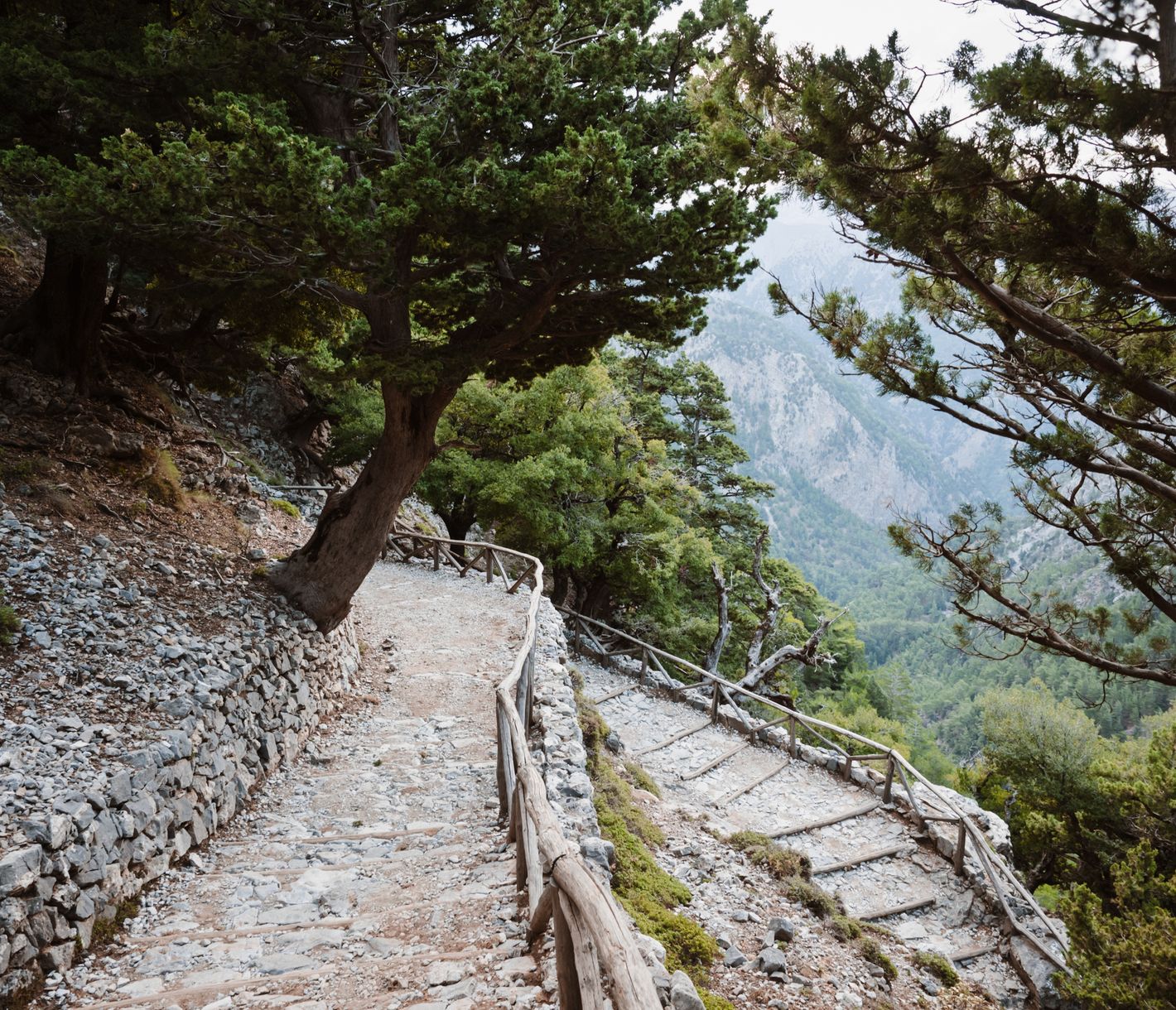 Steinpfad am Eingang der Samaria-Schlucht auf Kreta