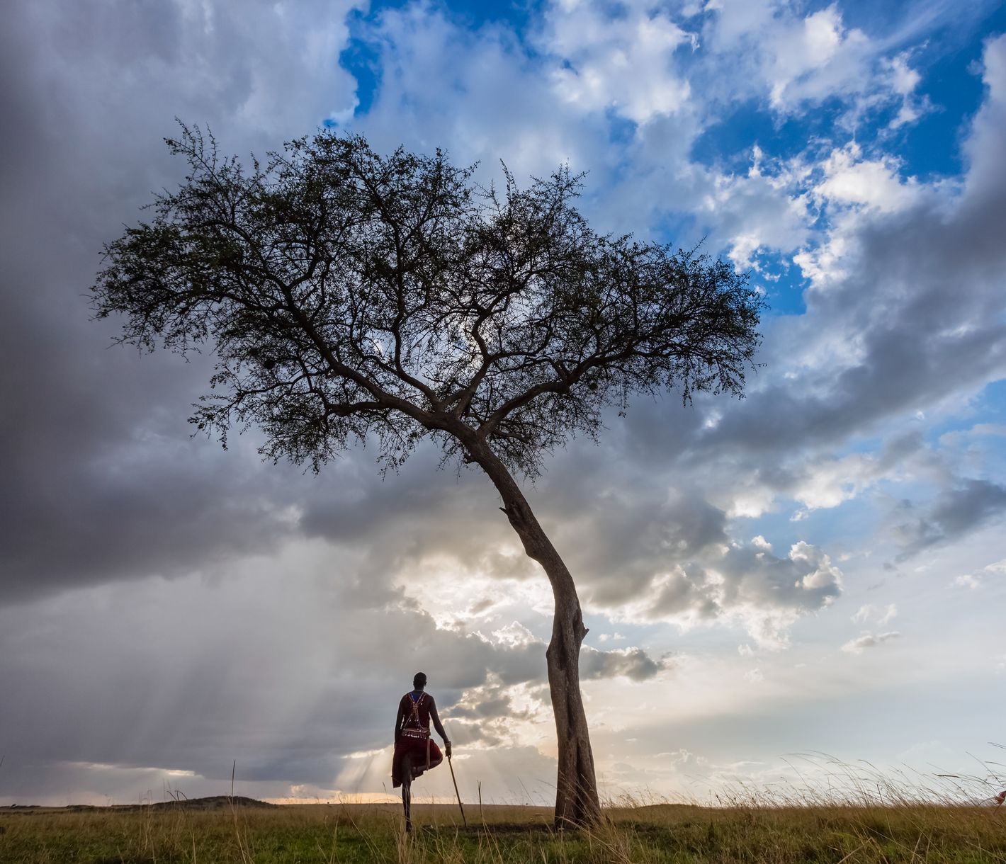 Ein Masai-Krieger blickt in die Weite der Masai Mara.