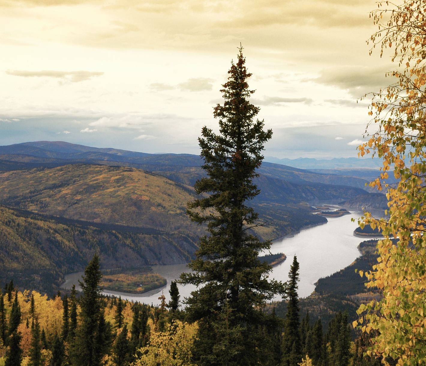 Sicht vom Midnight Dome in Dawson City