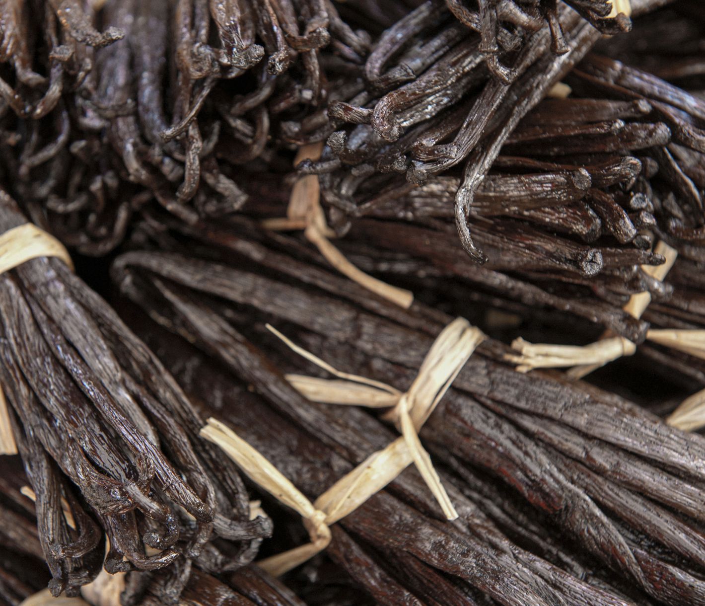 Die Vanilleschoten werden auch als «schwarzes Gold» bezeichnet.