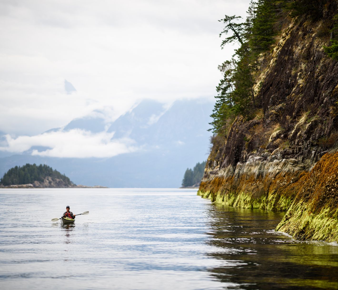 Da schlägt das Herz von Wasserratten höher.