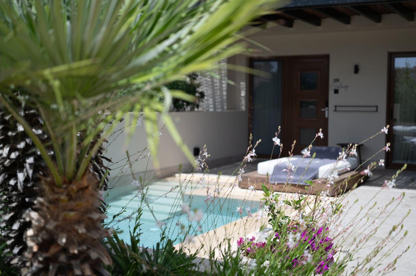 Suite Galaxy avec piscine privée