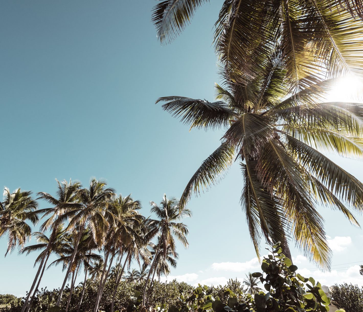 Einmal Karibik-Feeling bitte