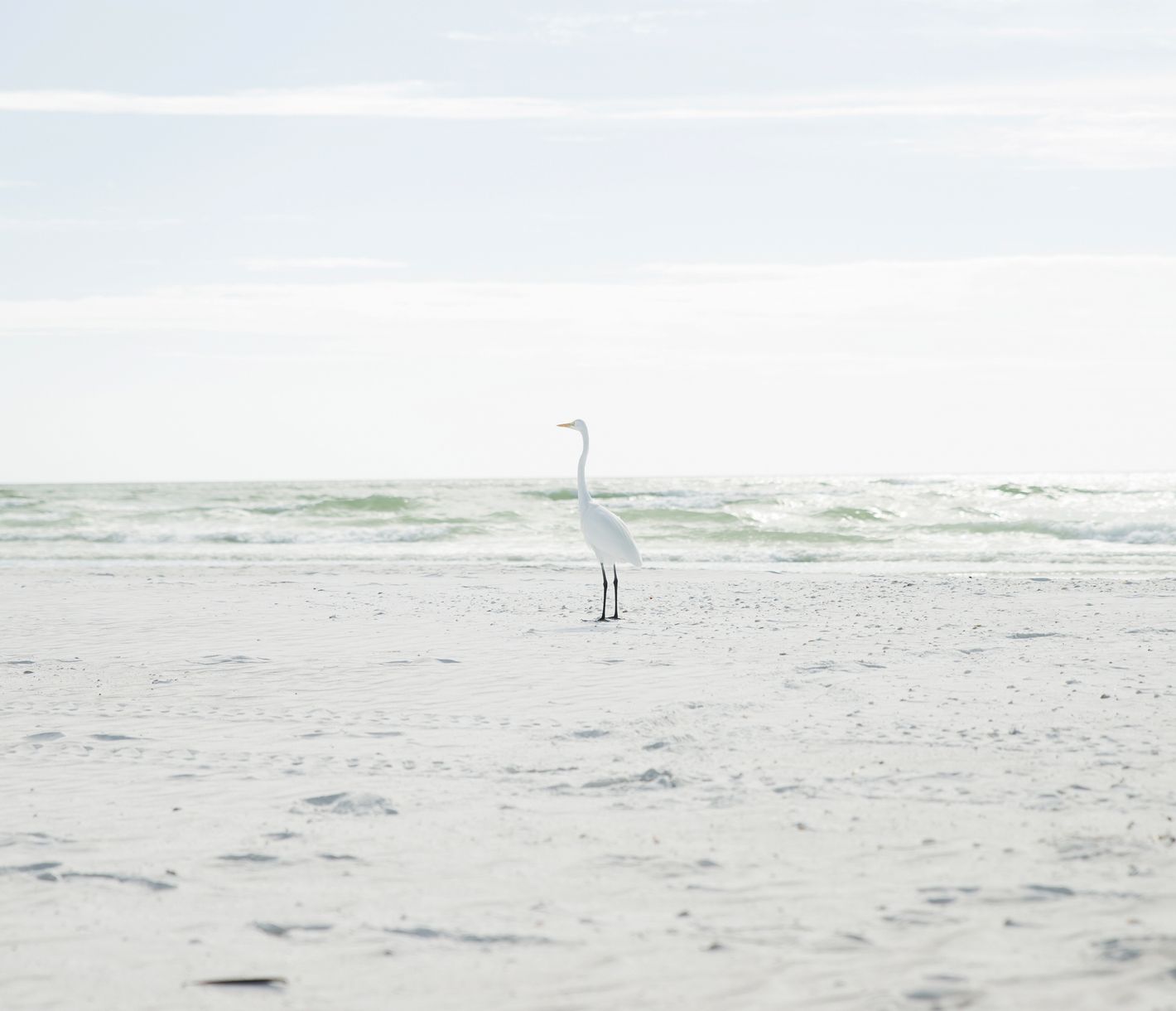 Sarasota Beach an der Golfküste von Florida