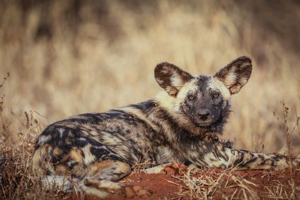 12. Bild der Rundreise