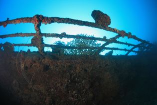 Das Wrack der British Loyalty im Addu Atoll ist ein beliebter Tauchspot, der faszinierende Einblicke in die Unterwasserwelt bietet.