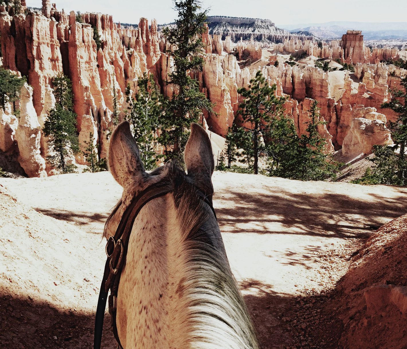 Reitausflug im Bryce Canyon National Park
