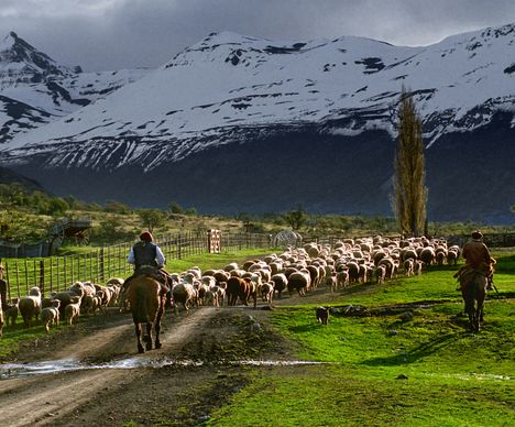 Per Du mit Gauchos auf der Schafestancia in Patagonien