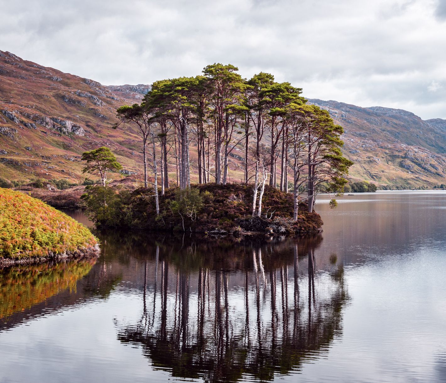 Dumbledores letzte Ruhestätte