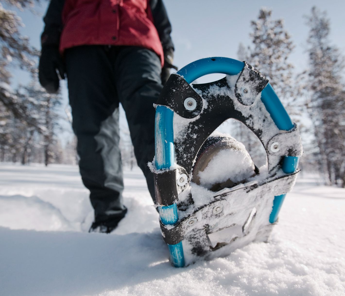Schneeschuhwanderung