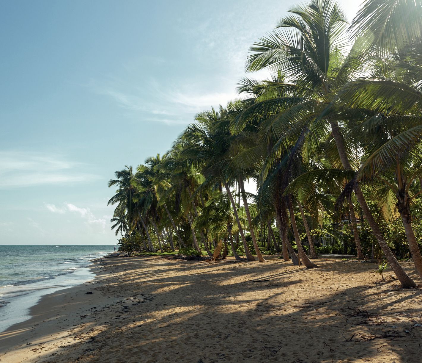 Idyllische Halbinsel Samana